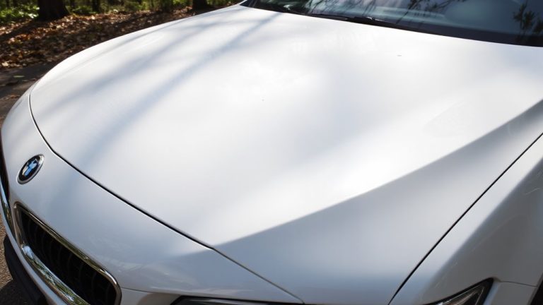 best insect removers for cars