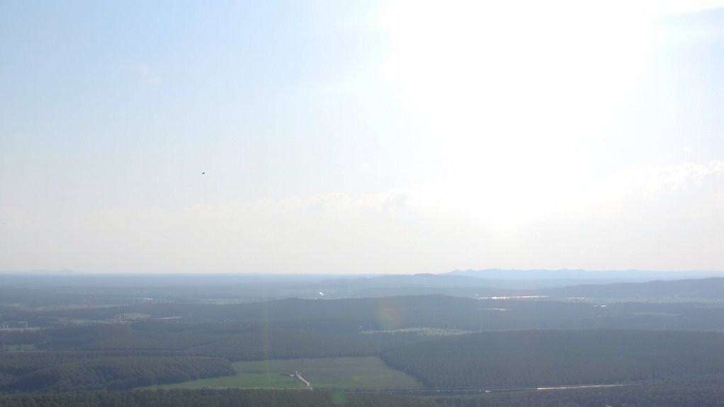 phase cancellation reduces glare