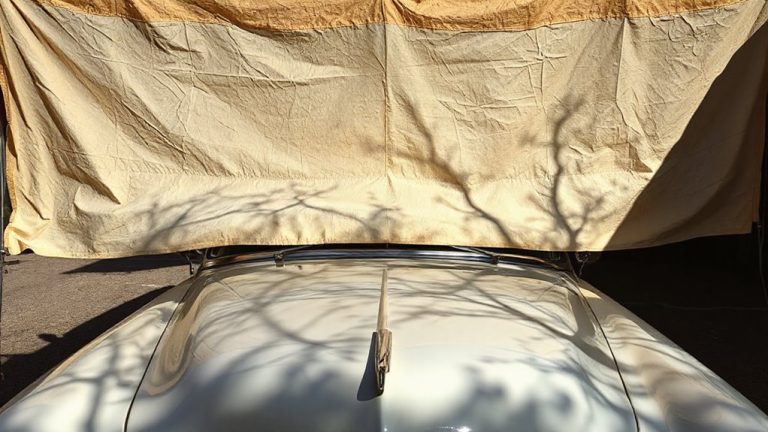 sun exposure history via fading